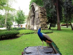 campo san francisco oviedo